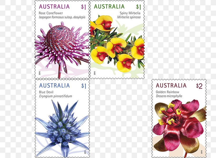 Postage Stamps Wildflower Australia Post Mail, PNG, 800x600px, Postage Stamps, Australia, Australia Post, Flora, Flower Download Free