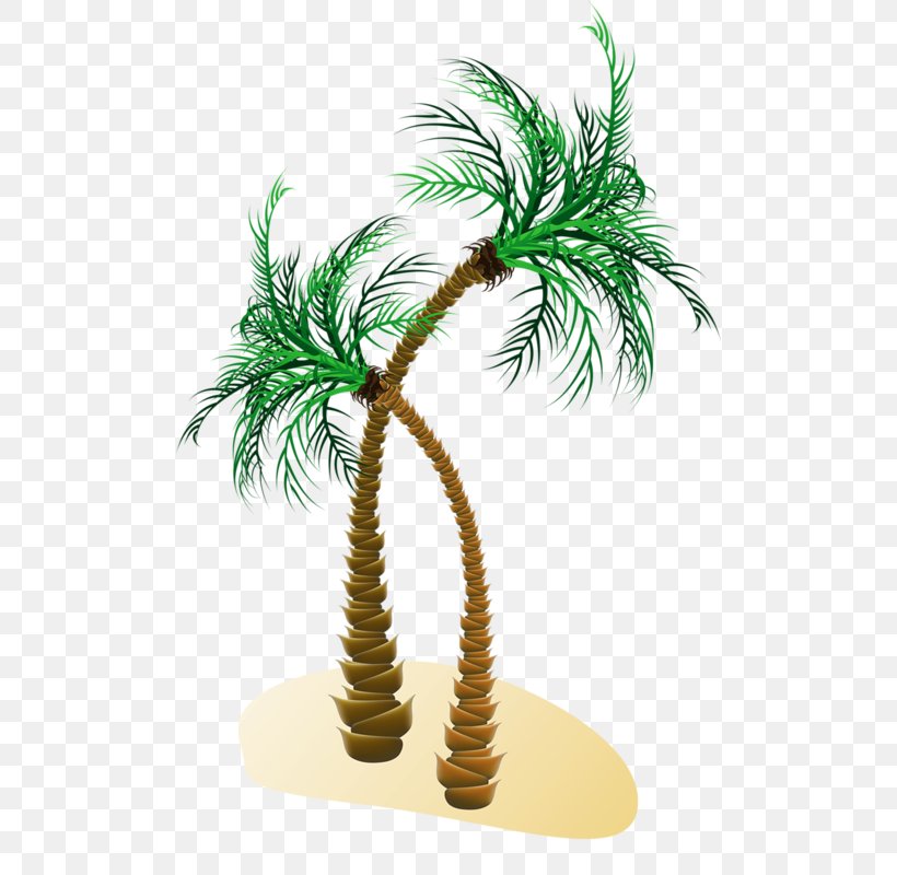 Arecaceae Tree, PNG, 498x800px, Arecaceae, Arecales, Coconut, Date Palm, Flowerpot Download Free