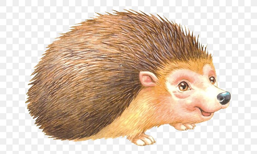 Domesticated Hedgehog European Hedgehog Clip Art, PNG, 684x490px, Hedgehog, Animal, Blog, Common Opossum, Diary Download Free