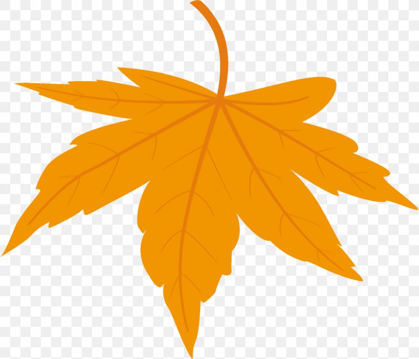 Maple Leaf Fallen Leaf Dead Leaf, PNG, 1026x880px, Maple Leaf, Autumn Leaf, Dead Leaf, Fallen Leaf, Leaf Download Free