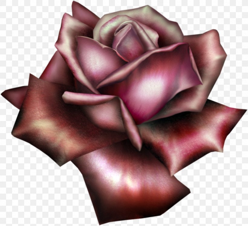 Flower Garden Roses Clip Art, PNG, 1024x933px, Rose, Avatar, Close Up, Flower, Flower Garden Download Free