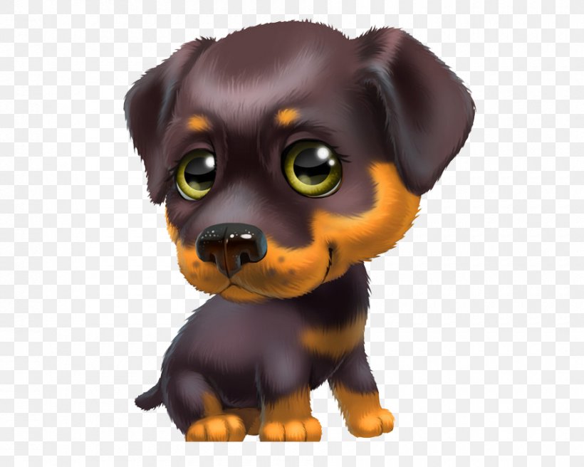 Puppy Boykin Spaniel Yorkshire Terrier Pug Cuteness, PNG, 900x720px, Puppy, Boykin Spaniel, Carnivoran, Cat, Companion Dog Download Free