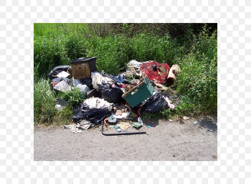 Queens Tavern Wales Recycling Waste Illegal Dumping, PNG, 600x600px, Wales, Concrete Recycling, Demolition, Illegal Dumping, Litter Download Free