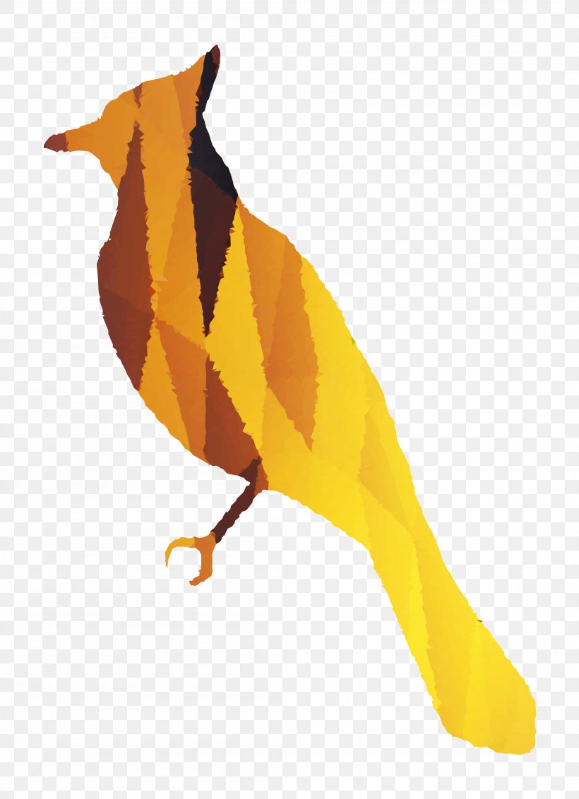 Beak Fauna Feather Landfowl Old World Orioles, PNG, 2100x2900px, Beak, Bird, Bulbul, Canary, Eurasian Golden Oriole Download Free