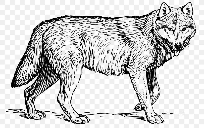 Coloring Book Animal Lion Dog Adult, PNG, 800x516px, Coloring Book, Adult, Animal, Arctic Wolf, Artwork Download Free