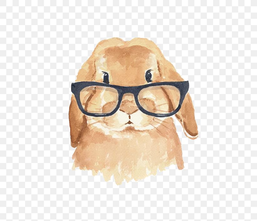 Holland Lop The Rhyming Rabbit Hipster, PNG, 564x705px, Holland Lop, Animal, Child, Clothing, Cuteness Download Free