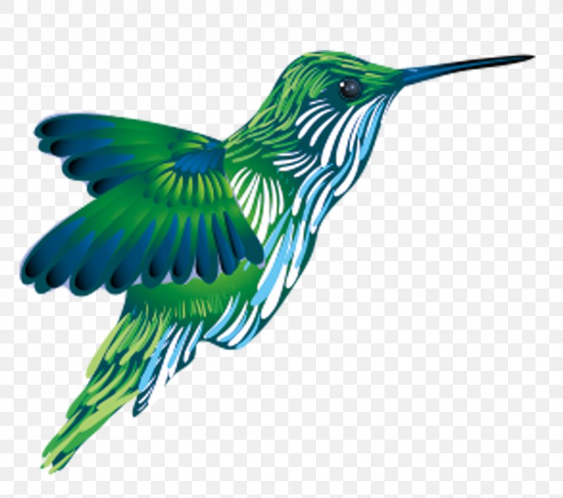 Hummingbird Kingfisher, PNG, 1667x1474px, Hummingbird, Animal, Beak, Bird, Fauna Download Free