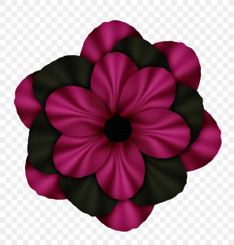 Petal Cut Flowers Magenta Flowering Plant, PNG, 955x1000px, Petal, Cut Flowers, Flower, Flowering Plant, Herbaceous Plant Download Free