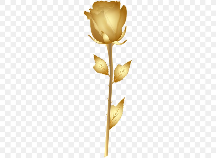 Rose Gold Clip Art, PNG, 423x600px, Rose, Blue Rose, Cut Flowers, Flower, Flowering Plant Download Free