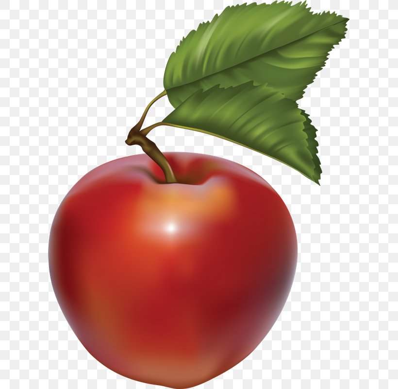 Apple Cider Clip Art, PNG, 621x800px, Apple, Acerola, Apple Cider, Big Apple, Blog Download Free