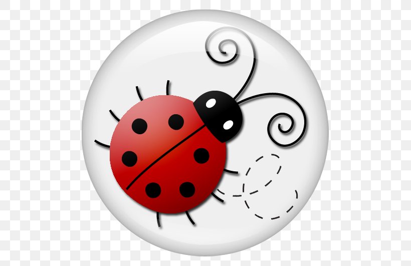 Ladybird Beetle Drawing Clip Art, PNG, 531x531px, Beetle, Animaatio, Blog, Cartoon, Drawing Download Free