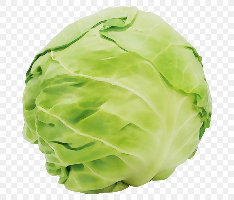 Cabbage Green Lettuce Iceburg Lettuce Cruciferous Vegetables, PNG, 1000x856px, Watercolor, Cabbage, Cruciferous Vegetables, Food, Green Download Free