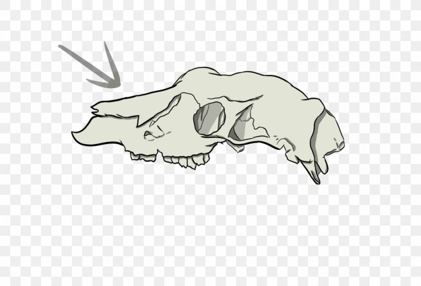 Canidae Cattle Pig Drawing Clip Art, PNG, 1024x697px, Canidae, Artwork, Black And White, Bone, Carnivoran Download Free