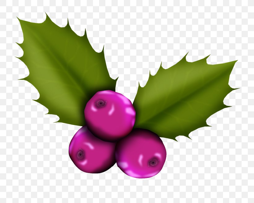 Christmas Art Clip Art, PNG, 800x656px, Christmas, Art, Fruit, Home Page, Idea Download Free