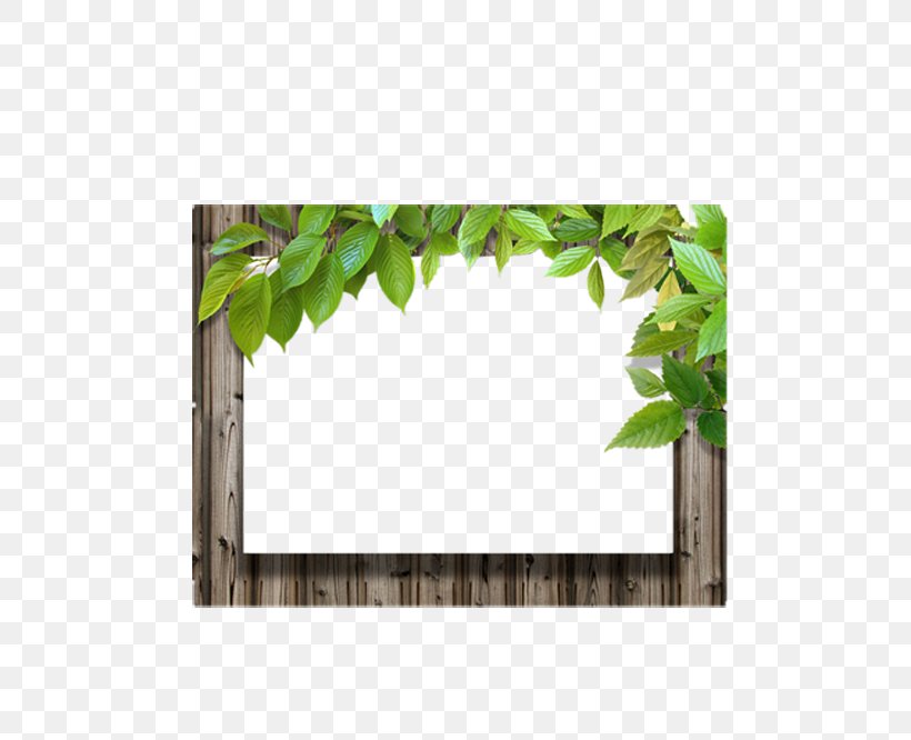 Picture Frame Leaf Wood, PNG, 500x666px, Picture Frame, Computer Graphics, Film Frame, Grass, Green Download Free