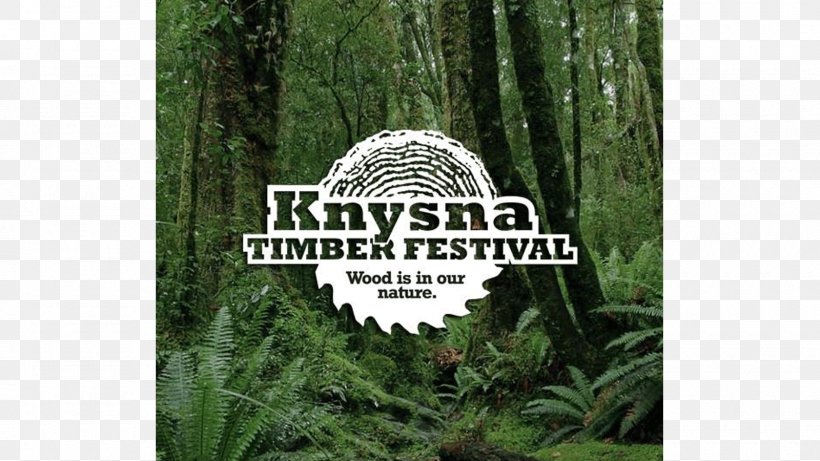 Timber Village Knysna Plett Herald Timber Festival Biome Nature Reserve, PNG, 1600x900px, Timber Festival, Biome, Brand, Ecosystem, Festival Download Free