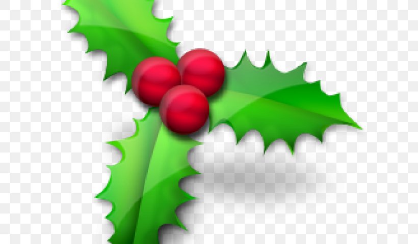 Christmas Day Santa Claus Vector Graphics Common Holly, PNG, 640x480px, Christmas Day, Christmas Lights, Christmas Tree, Common Holly, Flower Download Free