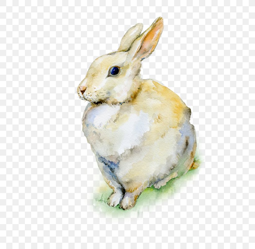 Holland Lop Easter Bunny Watercolor Painting Rabbit, PNG, 702x800px, Holland Lop, Art, Bunnies Rabbits, Domestic Rabbit, Drawing Download Free