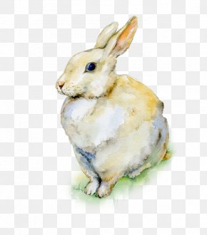 Easter Bunny Watercolor Painting Rabbit Drawing Hare, PNG, 480x708px ...