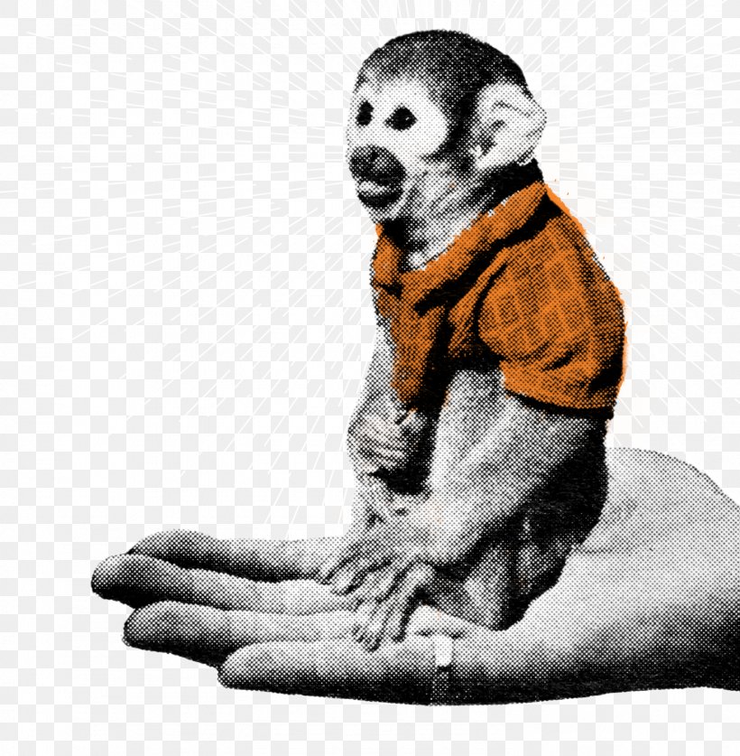 Homo Sapiens Human Behavior Monkey Finger, PNG, 1481x1512px, Homo Sapiens, Aggression, Behavior, Finger, Fur Download Free