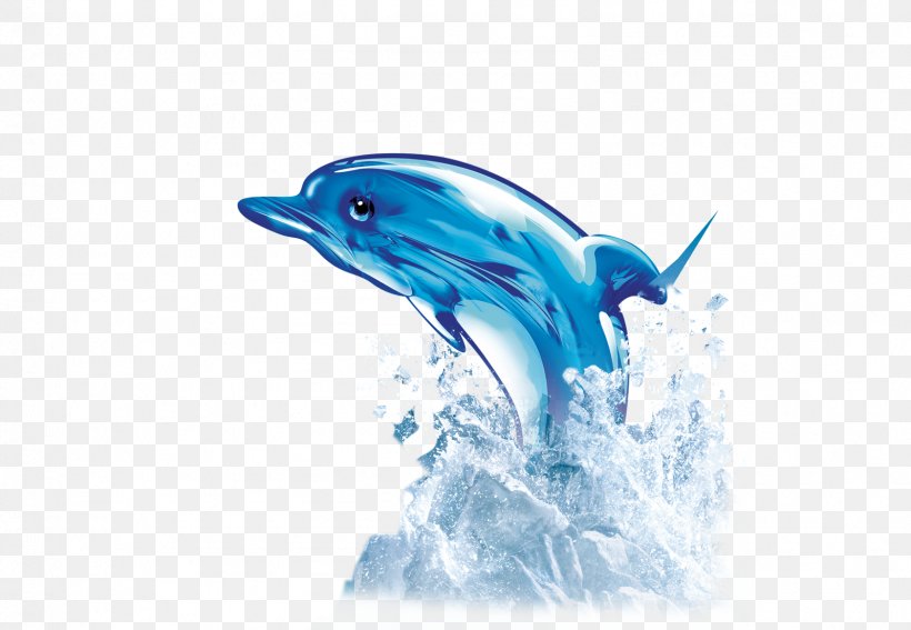 Icon, PNG, 1598x1105px, Dolphin, Beak, Blue, Common Bottlenose Dolphin, Fin Download Free