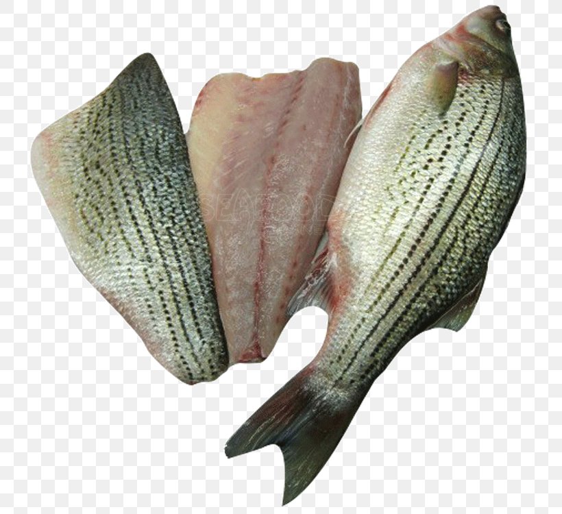 Striped Bass Fish Products Tilapia, PNG, 750x750px, Striped Bass, Animal Source Foods, Basa, Bass, Cod Download Free