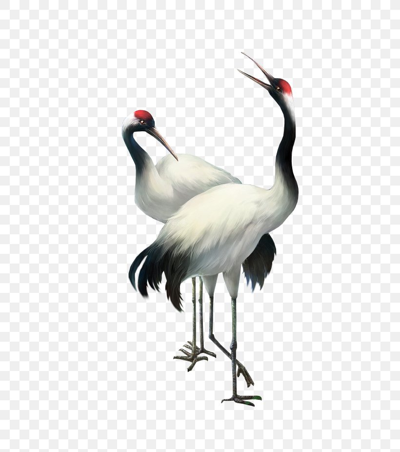 Bailu Red-crowned Crane, PNG, 554x926px, Bailu, Art, Autumn, Beak, Bird Download Free