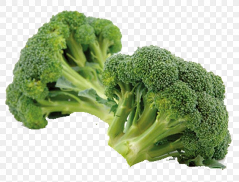 Broccoli Eating Vegetable Sulforaphane Chinese Cabbage, PNG, 826x630px, Broccoli, Cabbage, Carrot, Cauliflower, Chinese Cabbage Download Free