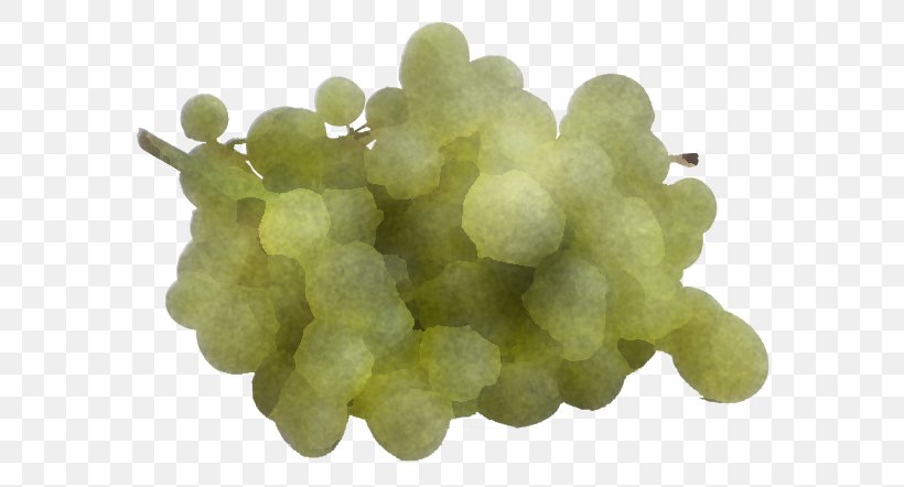 Grape Grapevine Family Seedless Fruit Sultana Vitis, PNG, 640x442px, Grape, Flower, Food, Fruit, Grapevine Family Download Free