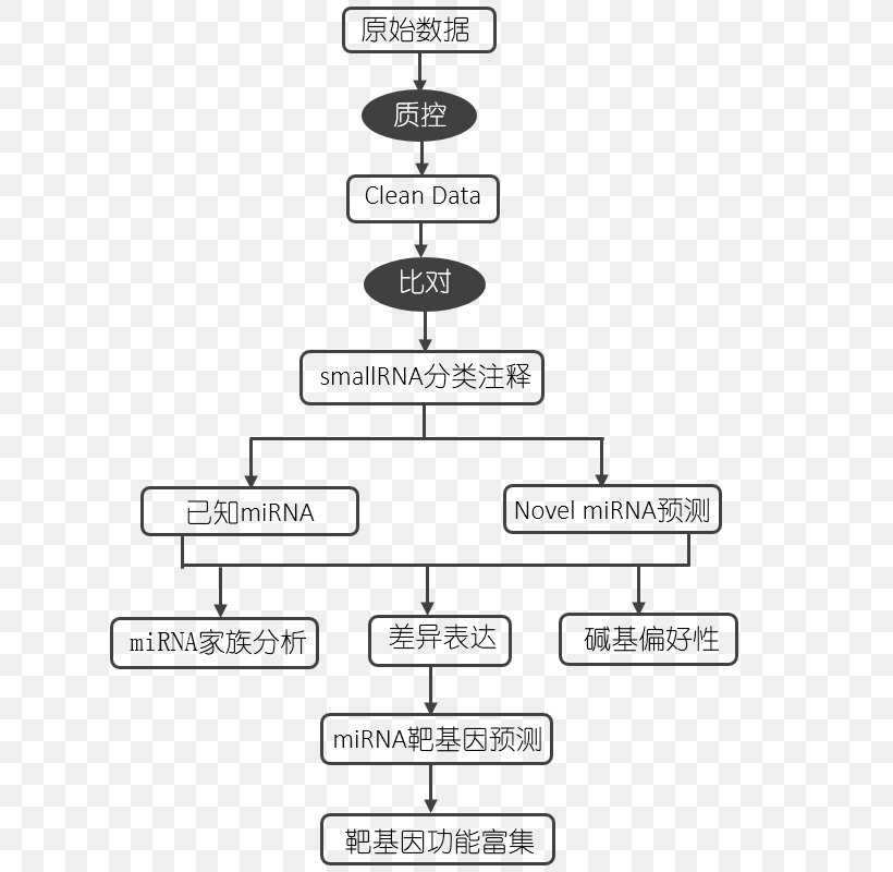 Line Angle Technology, PNG, 618x800px, Technology, Area, Black And White, Diagram, Number Download Free