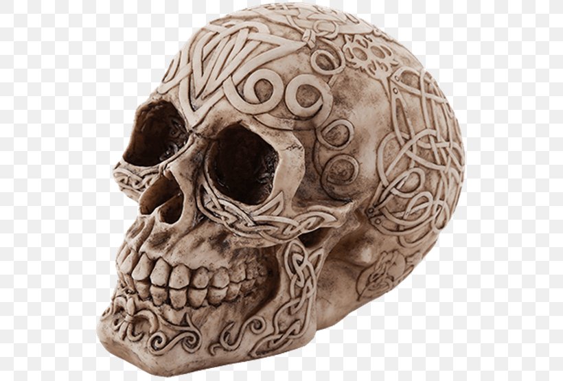 Skull Human Skeleton Figurine Horn, PNG, 555x555px, Skull, Bone, Celtic Knot, Collectable, Crystal Skull Download Free