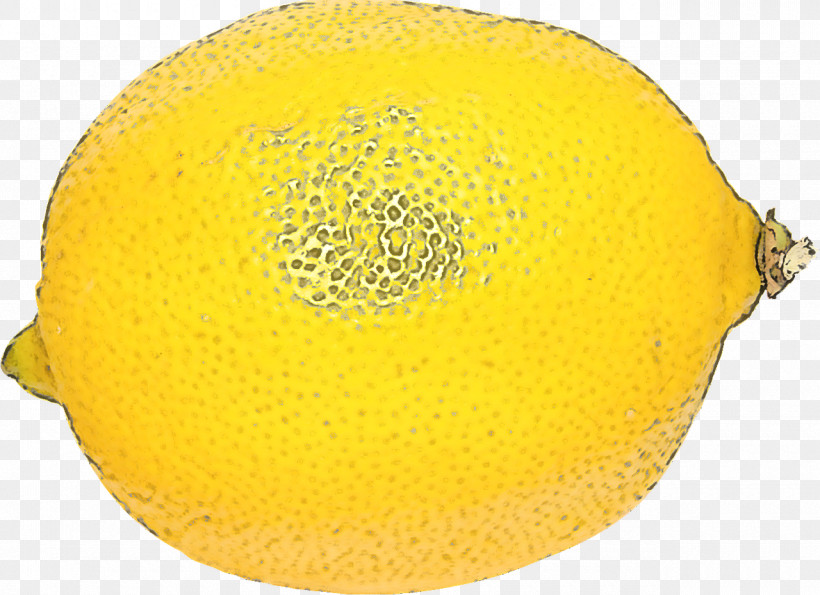 Yellow Fruit Muskmelon Plant Citrus, PNG, 1280x929px, Yellow, Citrus, Fruit, Lemon, Muskmelon Download Free