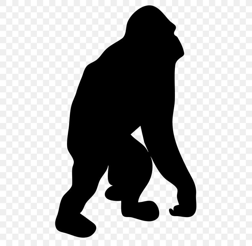 Gorilla Orangutan Silhouette Clip Art, PNG, 800x800px, Gorilla, Ape, Black, Black And White, Drawing Download Free