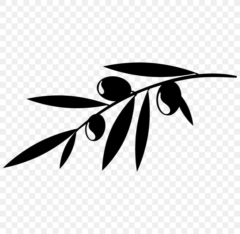 Olive Branch Olive Leaf Clip Art, PNG, 800x800px, Olive, Black And White, Branch, Drawing, Laurel Wreath Download Free
