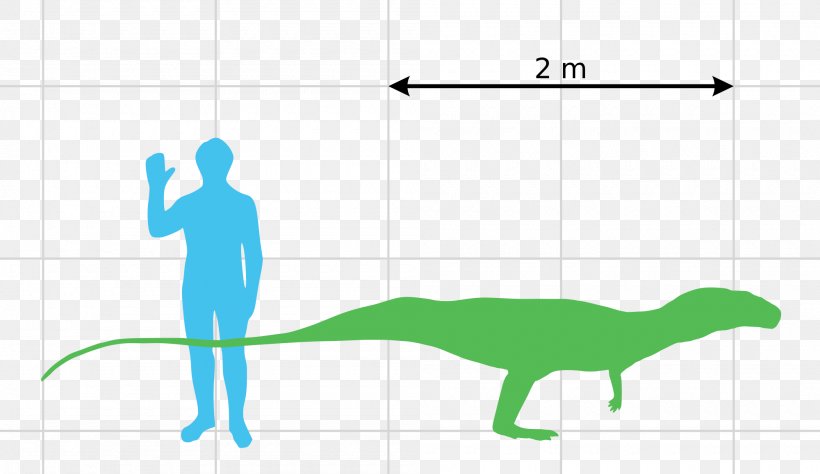 Poposaurus Stahleckeria Late Triassic Dicynodont, PNG, 2000x1158px, Poposaurus, Archosaur, Area, Crurotarsi, Diagram Download Free