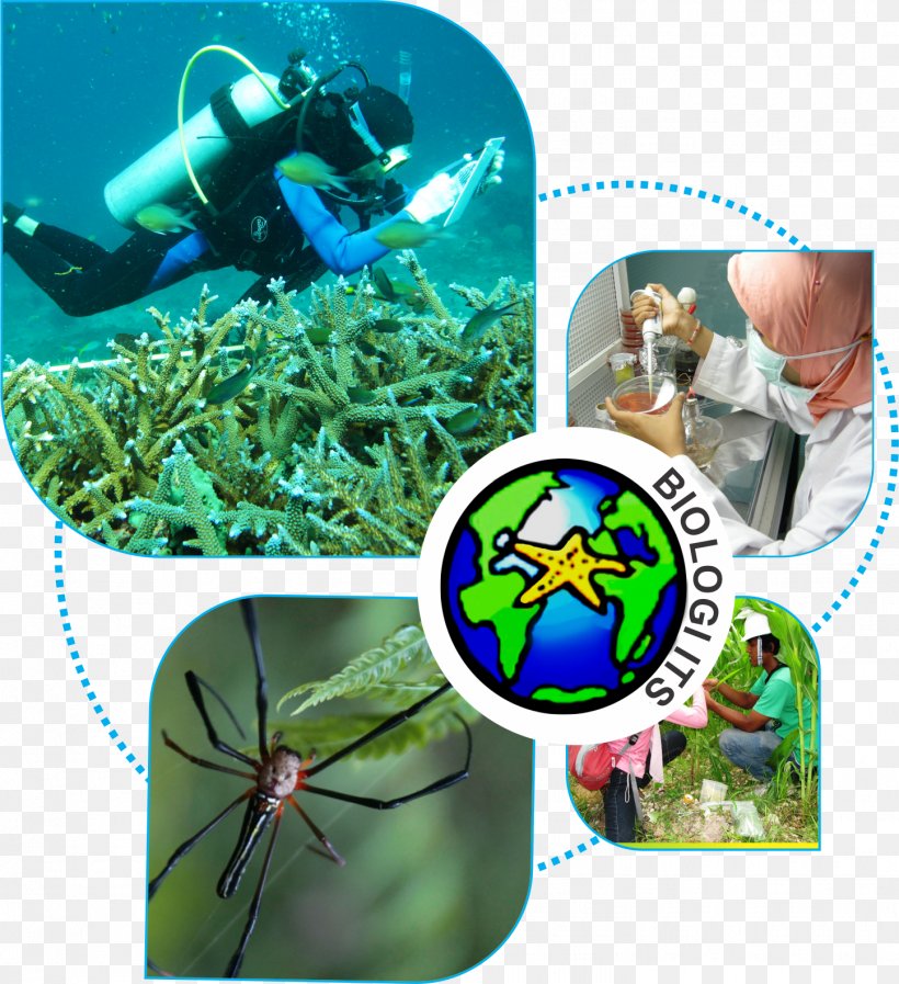 Sepuluh Nopember Institute Of Technology Biology Natural Science Laboratory, PNG, 1446x1582px, Biology, Aquanaut, Divemaster, Ecosystem, Faculty Download Free