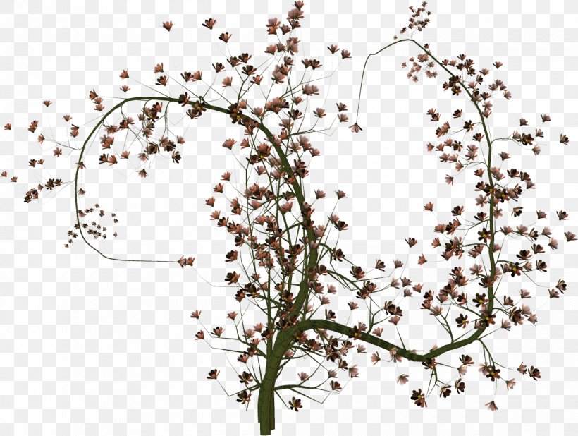Twig Tree Painting Plants, PNG, 1220x920px, Twig, Alma Cigana, Branch, Flower, Flowering Plant Download Free