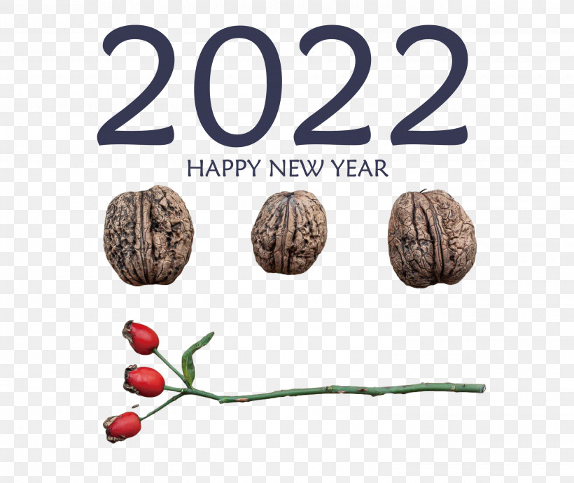 2022 Happy New Year 2022 New Year 2022, PNG, 3000x2525px, Meter Download Free