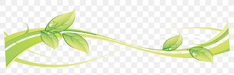 Flowers Background, PNG, 3000x973px, Leaf, Branch, Cdr, Cut Flowers, Drawing Download Free