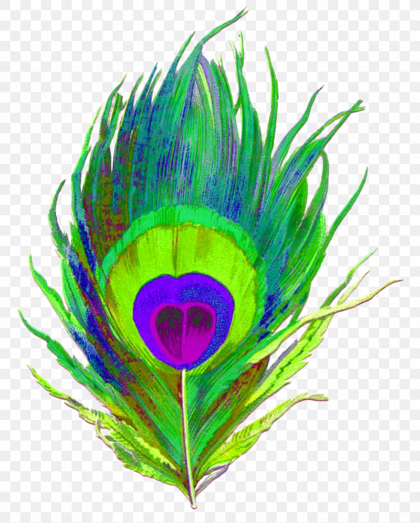 Krishna Feather Paper Peafowl Bird, PNG, 1084x1350px, Krishna, Aquarium Decor, Art, Bird, Color Download Free