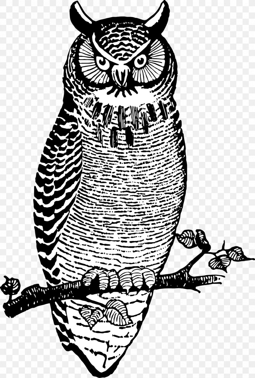 Owl Bird Beak Clip Art Visual Arts, PNG, 1209x1791px, Owl, Beak, Bird, Bird Of Prey, Drawing Download Free