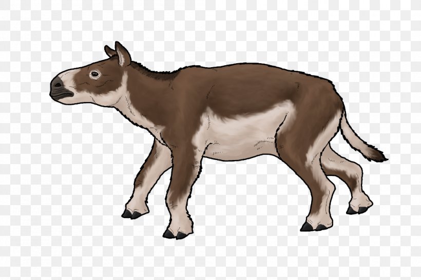 Cattle Eurohippus Dog T-shirt Odd-toed Ungulates, PNG, 1050x700px, Cattle, Animal, Animal Figure, Antelope, Cattle Like Mammal Download Free
