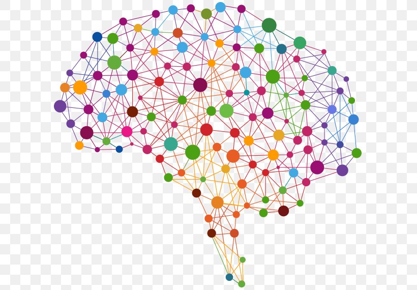 Human Brain Pineal Gland Brain Tumor Visual Perception, PNG, 614x570px, Brain, Area, Brain Tumor, Brainstem, Floral Design Download Free