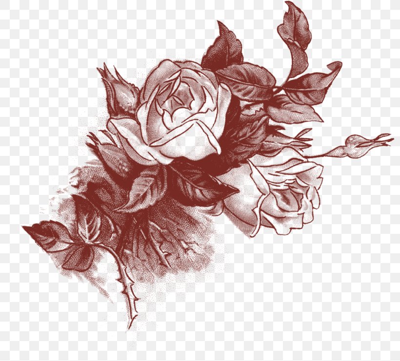 Rose Clip Art, PNG, 800x741px, Rose, Art, Drawing, Fictional Character, Flower Download Free