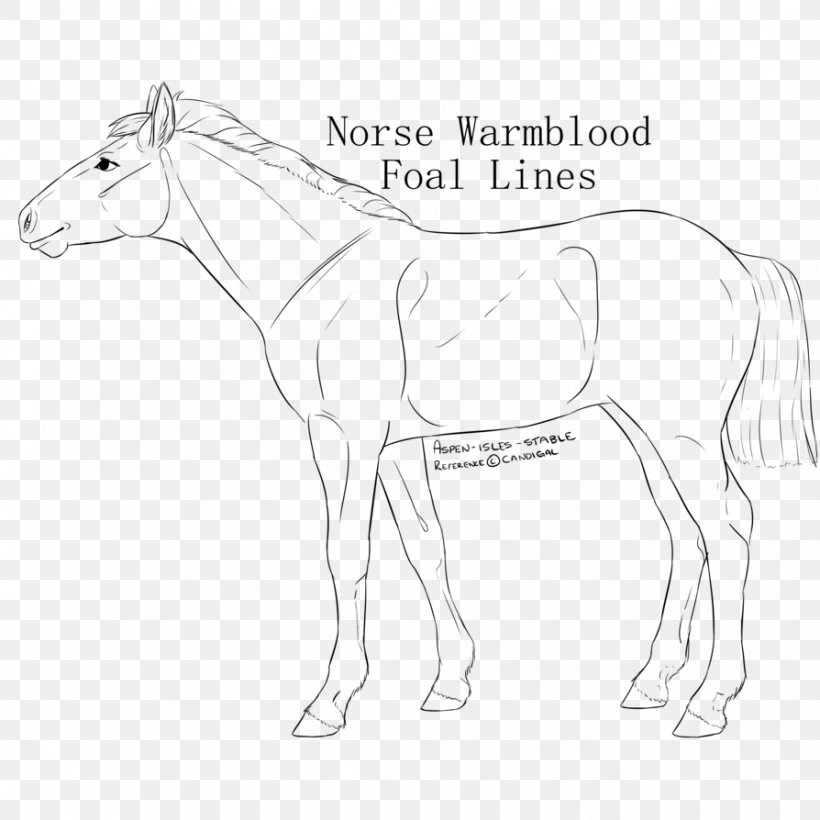 Mule Bridle Stallion Colt Mustang, PNG, 894x894px, Mule, Animal, Animal Figure, Arm, Artwork Download Free