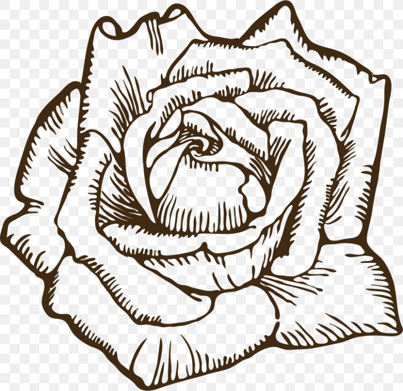 Rose Drawing Clip Art, PNG, 845x821px, Watercolor, Cartoon, Flower, Frame, Heart Download Free