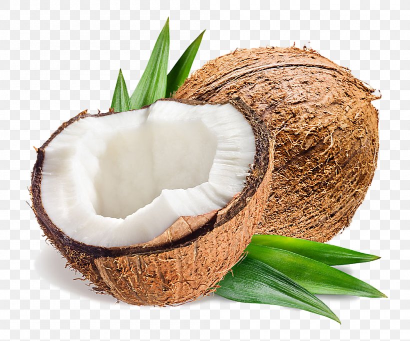 Palm Tree, PNG, 1000x833px, Coconut, Arecales, Coconut Milk, Coconut ...