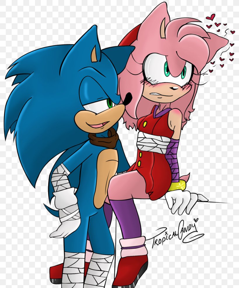 Amy Rose SegaSonic The Hedgehog Art, PNG, 806x990px, Watercolor, Cartoon, Flower, Frame, Heart Download Free