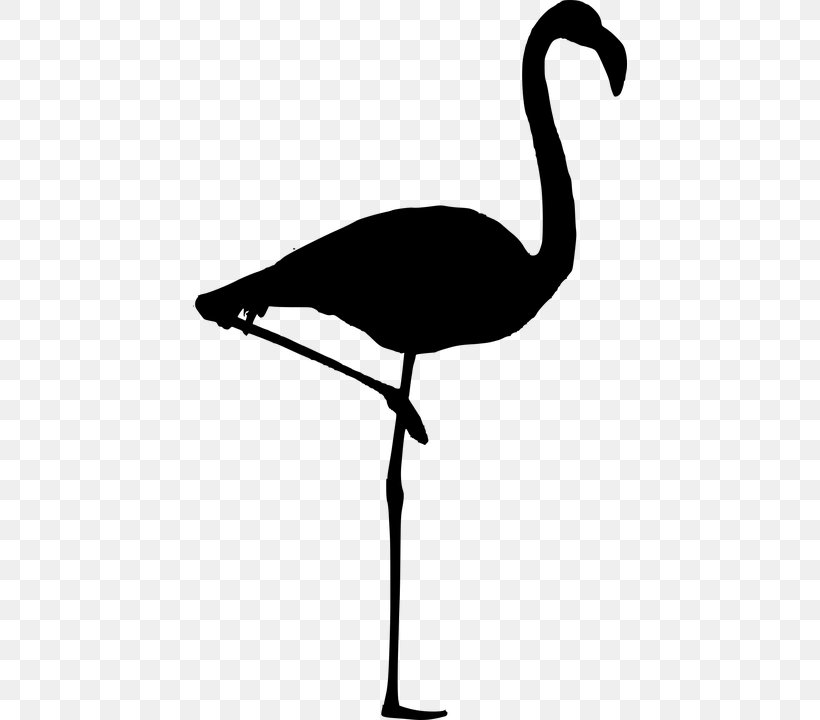 Bird Goose Silhouette Flamingo Clip Art, PNG, 434x720px, Bird, Beak, Black And White, Crane Like Bird, Drawing Download Free