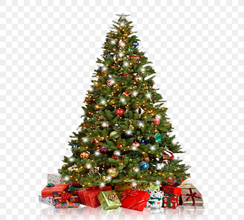 Christmas Tree Christmas Ornament New Year Tree Spruce, PNG, 560x738px, Christmas Tree, Christmas, Christmas Decoration, Christmas Ornament, Conifer Download Free